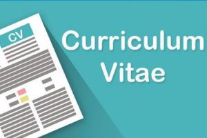 Curriculum Vitae, i 5 Pilastri Fondamentali per un ottimo CV